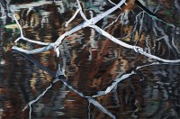 Wishbone - oil on canvas 24x36