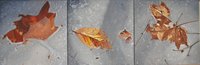 Vernal Pool Leaves (triptych) o/c 12 X 36